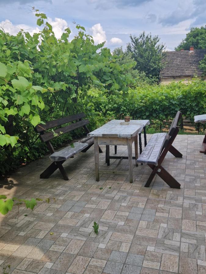 Berger Pince-vendégház, Hajósi pincék Extérieur photo